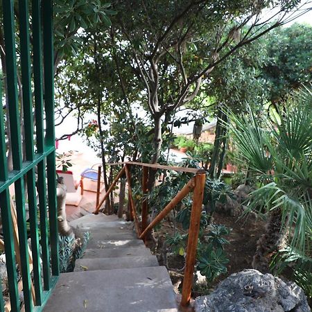 Villa Casa Elvira Terrasini Esterno foto