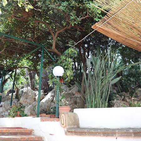 Villa Casa Elvira Terrasini Esterno foto