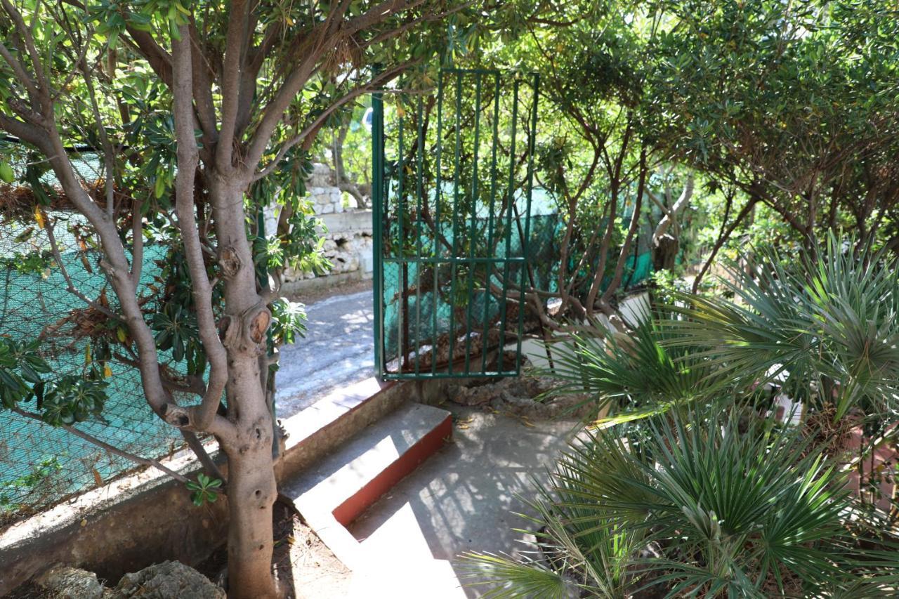 Villa Casa Elvira Terrasini Esterno foto