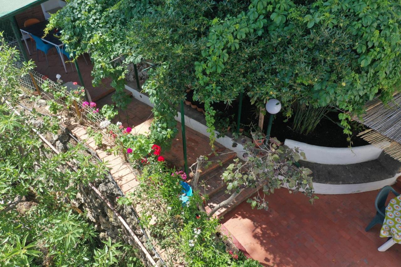 Villa Casa Elvira Terrasini Esterno foto
