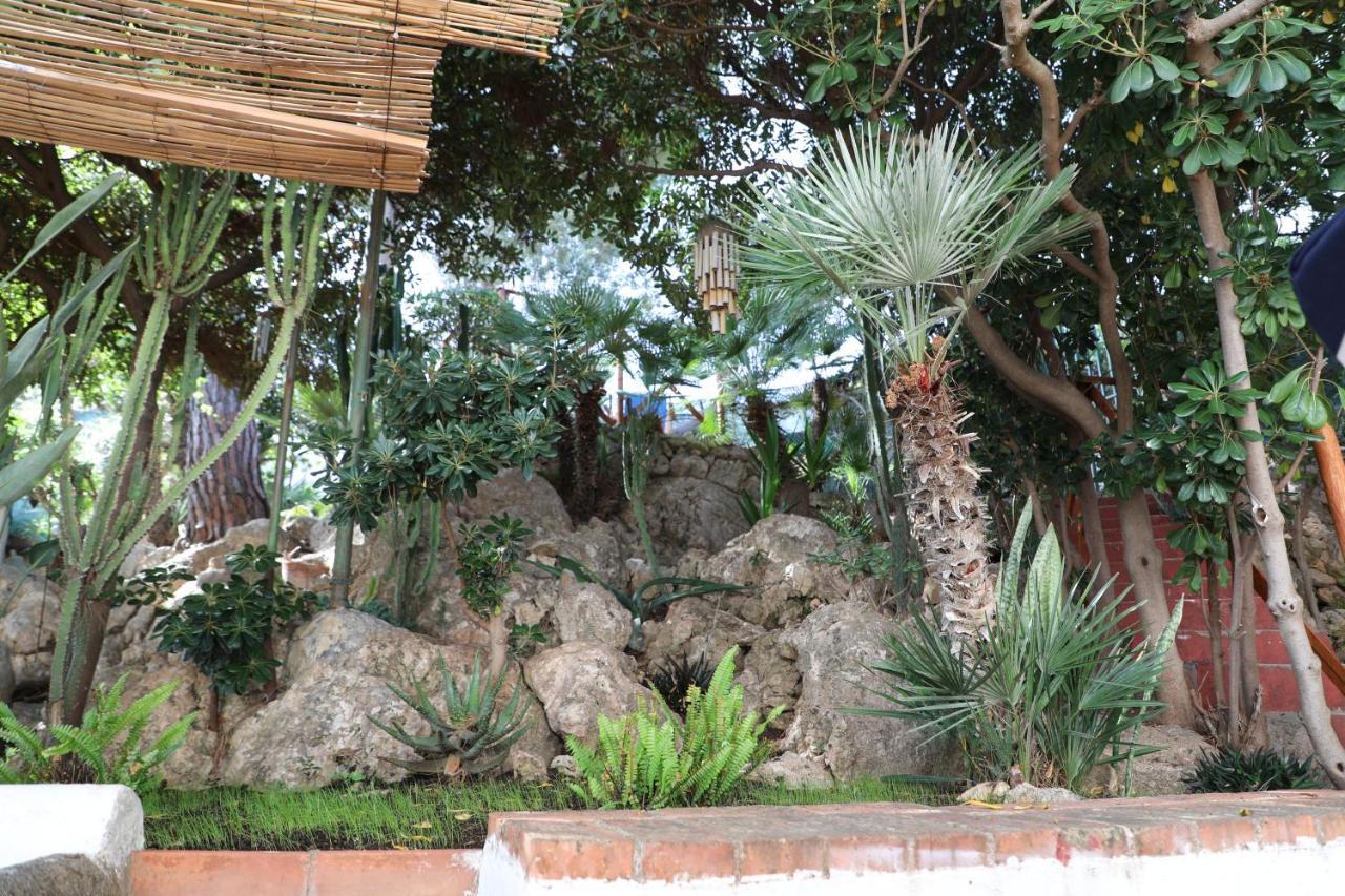 Villa Casa Elvira Terrasini Esterno foto